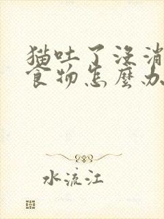 猫吐了没消化的食物怎么办