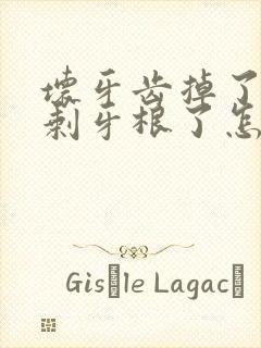 坏牙齿掉了,只剩牙根了怎么办