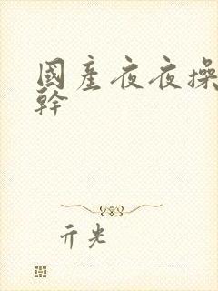 国产夜夜操天天干