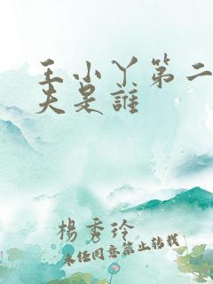 王小丫第二任丈夫是谁