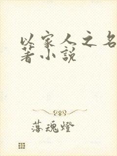 以家人之名的原著小说