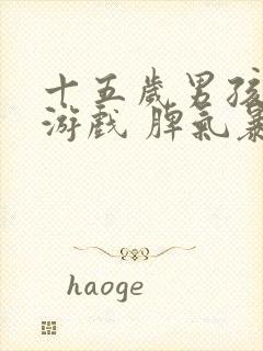 十五岁男孩沉迷游戏 脾气暴躁 叛逆