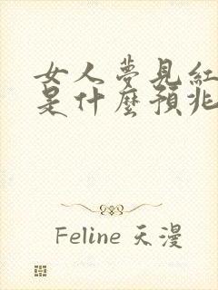 女人梦见红色蛇是什么预兆