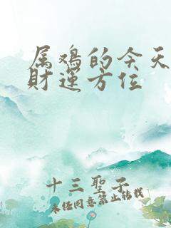 属鸡的今天打牌财运方位