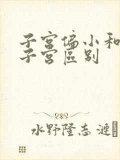 子宫偏小和幼稚子宫区别