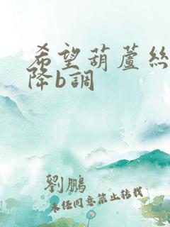 希望葫芦丝伴奏降b调