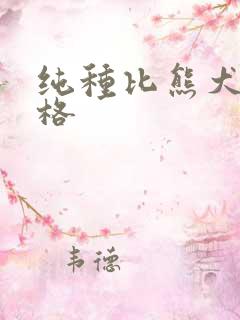 纯种比熊犬狗价格