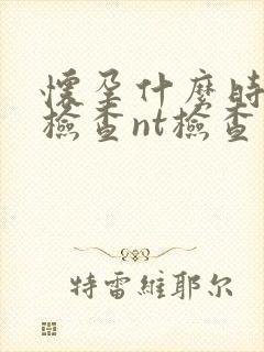 怀孕什么时间能检查nt检查合适