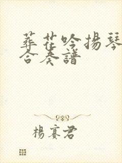 葬花吟扬琴二胡合奏谱