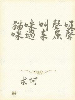 猫咪叫声吸引猫咪过来原声