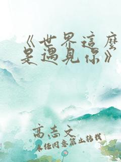 《世界这么大还是遇见你》歌词