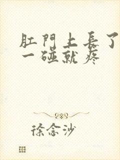 肛门上长了肉球一碰就疼