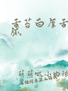 舌苔白厚舌根黄腻