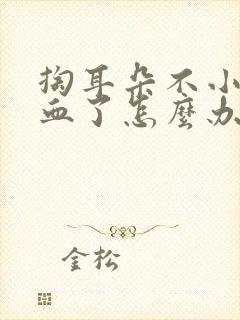 掏耳朵不小心流血了怎么办