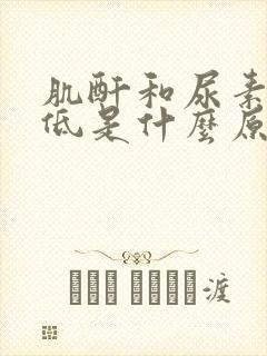 肌酐和尿素氮偏低是什么原因