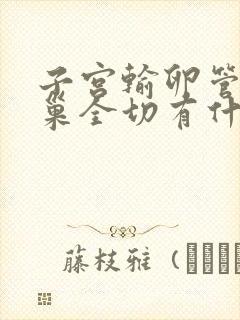 子宫输卵管和卵巢全切有什么影响吗