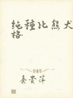 纯种比熊犬狗价格