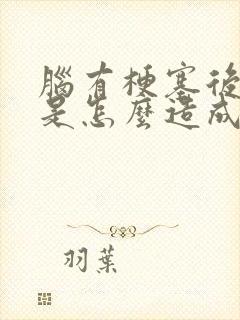 脑有梗塞后遗症是怎么造成的