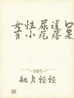 女性尿道口内侧有小疙瘩是怎么回事