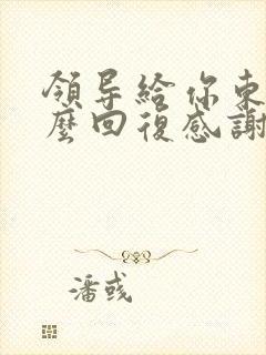 领导给你东西怎么回复感谢的话