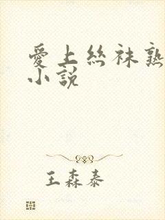 爱上丝袜熟女 小说