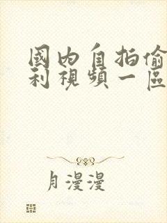 国内自拍偷拍福利视频一区二区