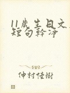 11岁生日文案短句干净