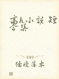 高h小说 短篇合集