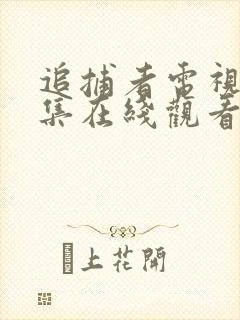 追捕者电视剧全集在线观看免费高清