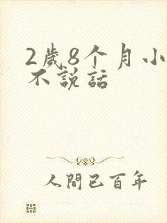 2岁8个月小孩不说话