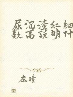 尿沉渣红细胞计数高说明什么