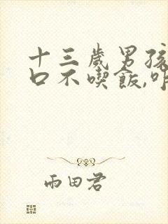 十三岁男孩没胃口不吃饭,咋办