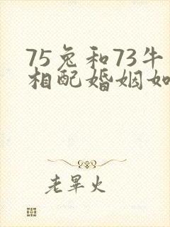 75兔和73牛相配婚姻如何