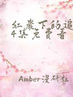 红岩下的追捕34集免费看