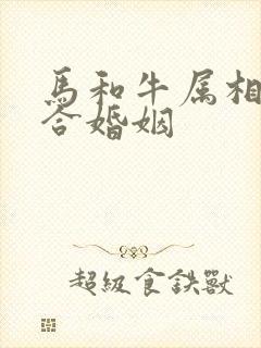 马和牛属相合不合婚姻