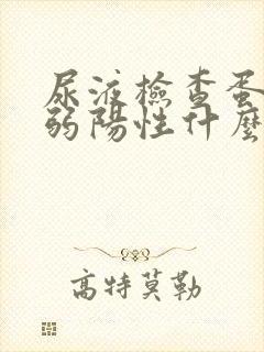 尿液检查蛋白质弱阳性什么意思