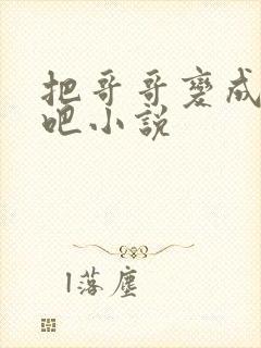 把哥哥变成女生吧小说