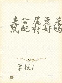 老公属兔老婆属鼠配对好吗