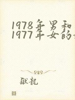 1978年男和1977年女的婚配怎么样