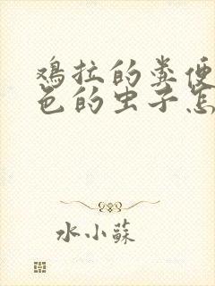 鸡拉的粪便有白色的虫子怎么回事