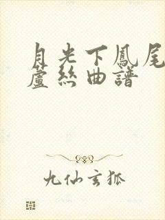 月光下凤尾竹葫芦丝曲谱