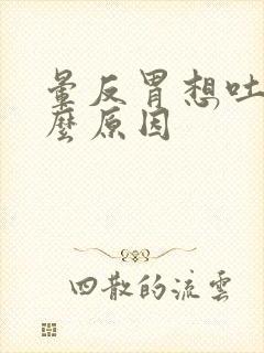 晕反胃想吐是什么原因