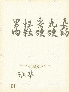 男性睾丸长了个肉粒硬硬的疼