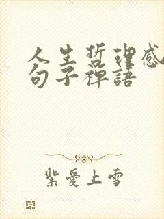 人生哲理感悟的句子禅语