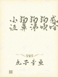 小狗狗狗感冒了流鼻涕吃啥药