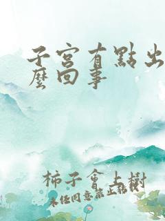 子宫有点出血怎么回事