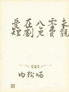 爱在八零未嫁时短剧免费观看