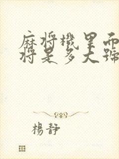 麻将机里面的麻将是多大号的