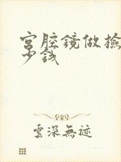 宫腔镜做检查多少钱