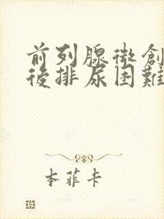 前列腺微创手术后排尿困难怎么办